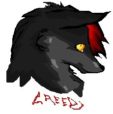 Anime Wolf/ Creed