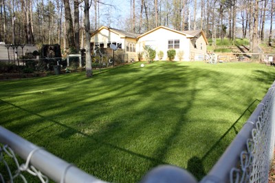 The Green Green Grass of Home...