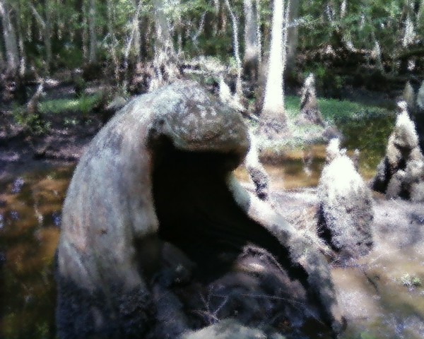 Grieving Tree