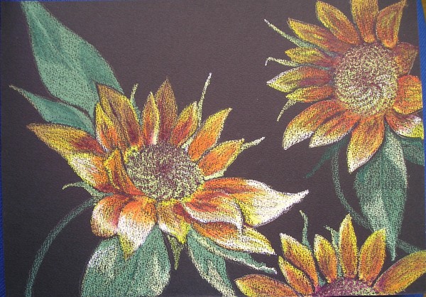 Chrysanthemums