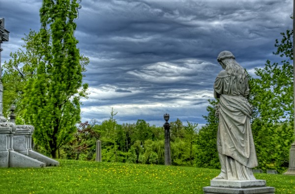 Stone Companion Crazy Sky
