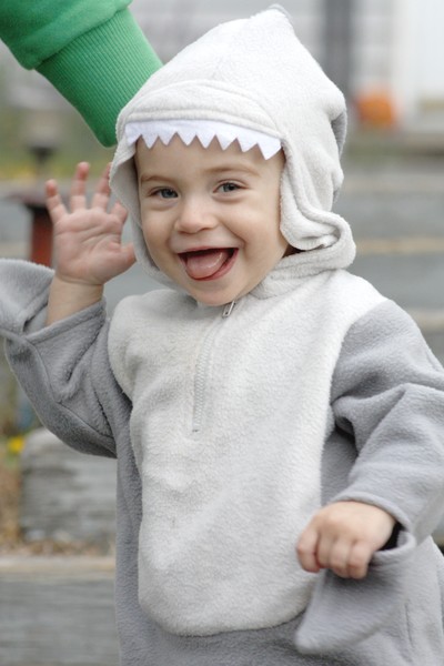 SHARK!