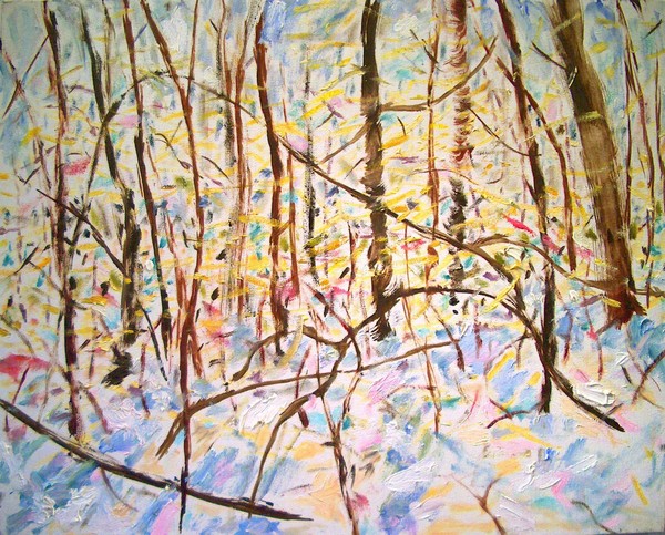 pl3-Snow Woods