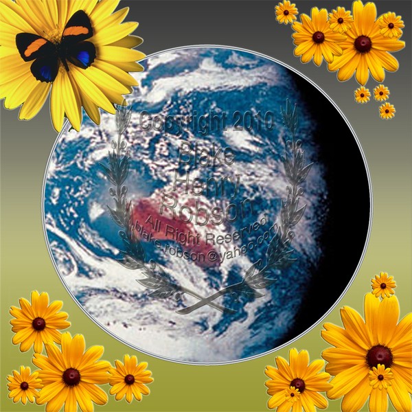 Earth image flowers & butterfly art