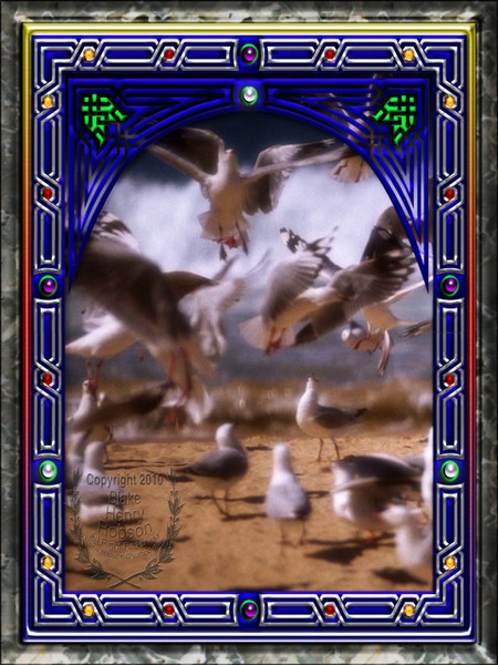Birds on the beach