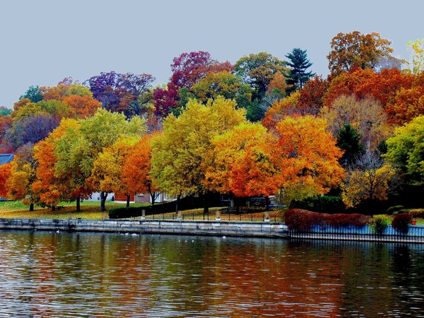 Fall On North Shore Blvd.