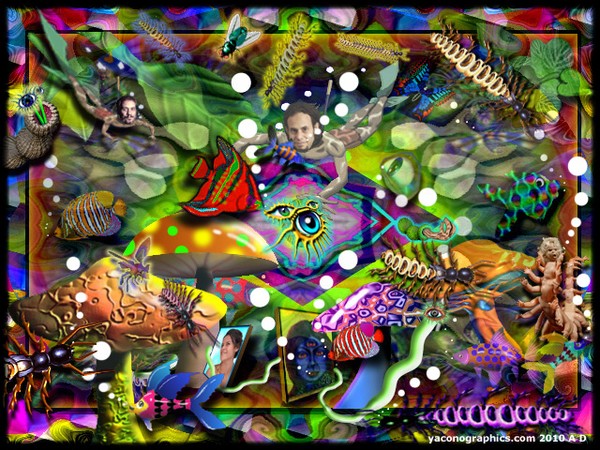 Underwater Fantasy