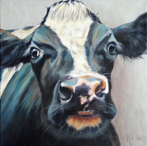 Cow Humpie