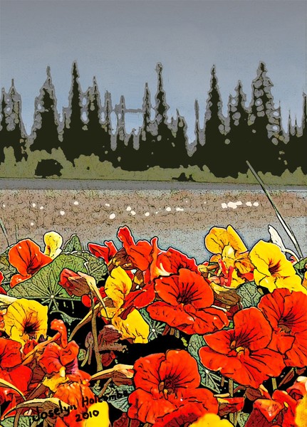 Yukon flowers