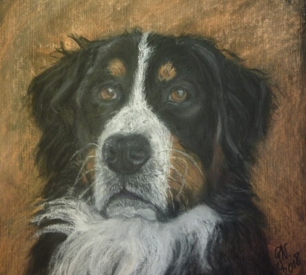 2018 Max pastel