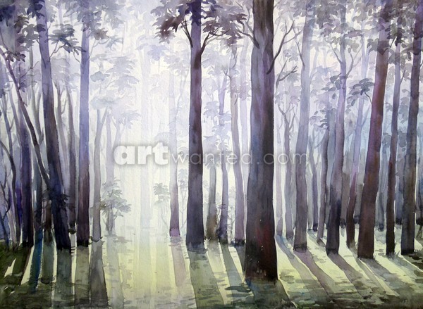 Morning Forest Light