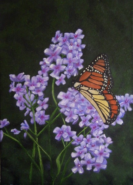 Rockets and Butterfly