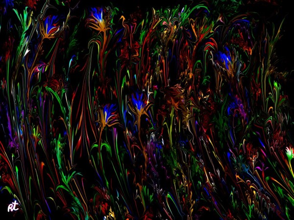 Flowers at night