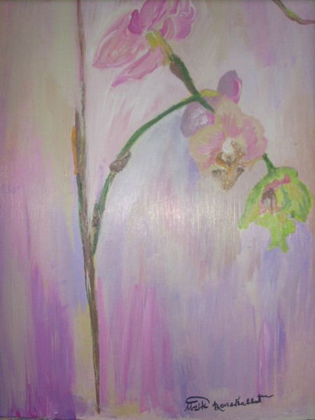 Pink Orchid