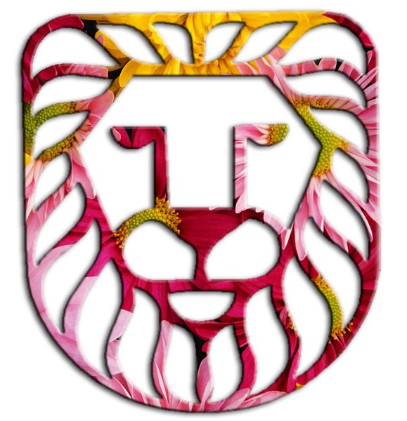 Masked Lion Face