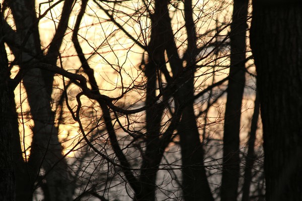 20120302 16