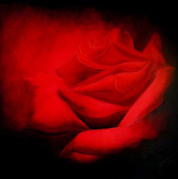 La vie en rose ...