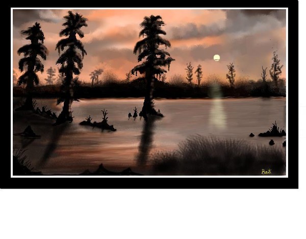 Another Swamp