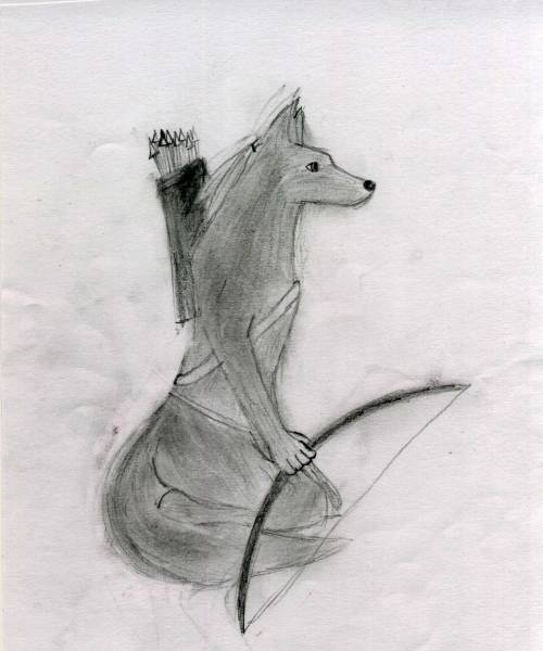 Coyote Warrior Sketch