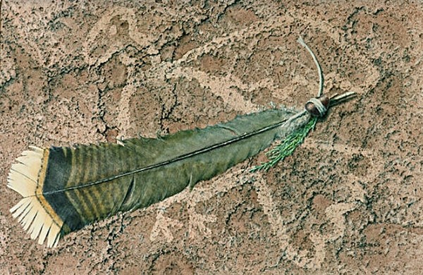 Turkey Feather