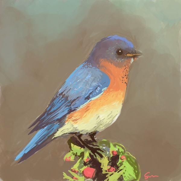 blue bird