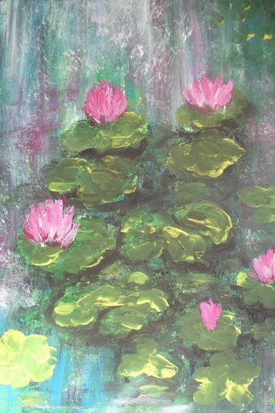 pink waterlillies
