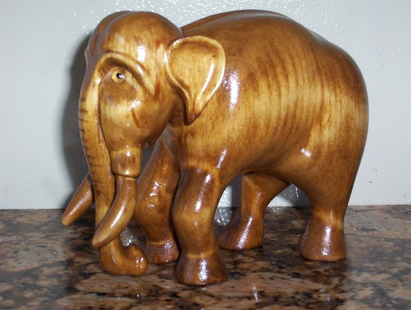 Elephant