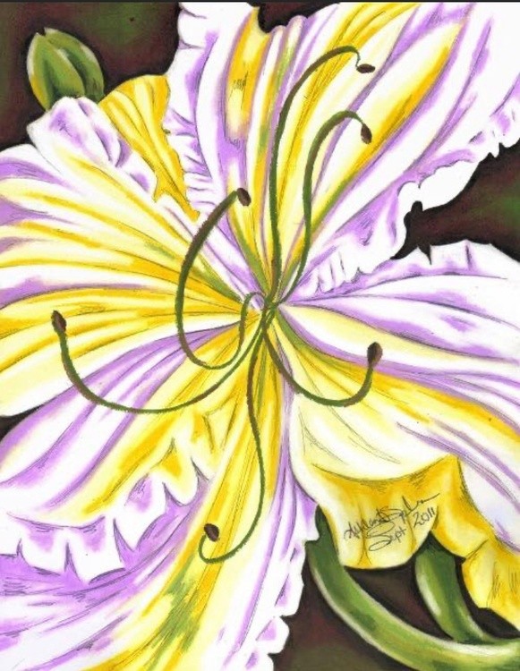 Yellow DayLily 9/11