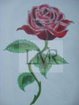 Red Rose Tattoo