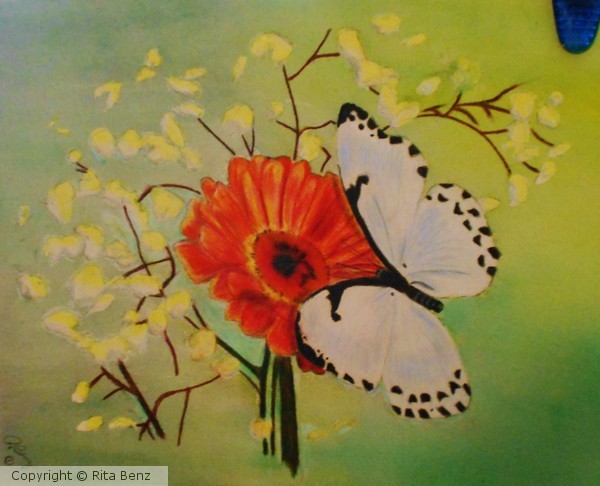 Butterfly - White 