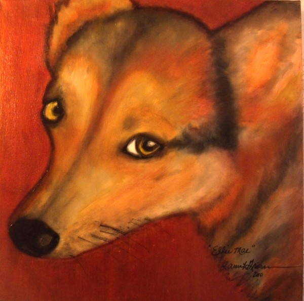 Corgi- Ellie Mae