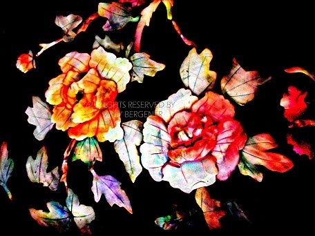 Asian Oyster Flowers