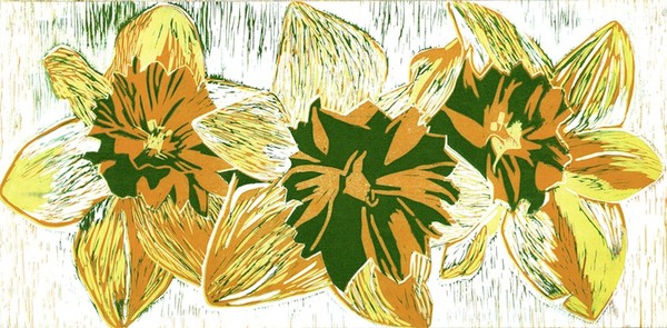 Three Daffodils