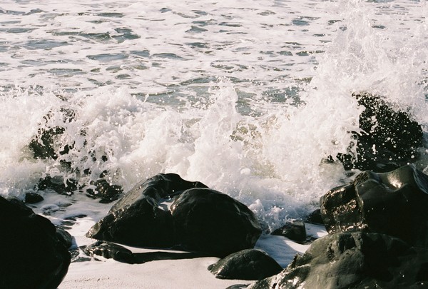 Surf