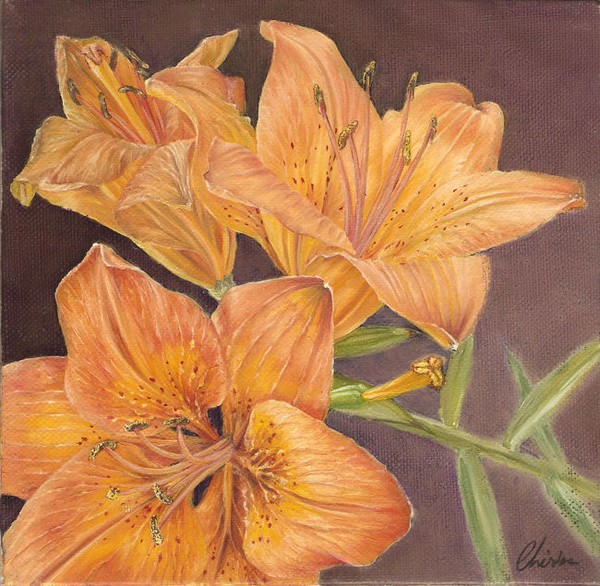 Orange lilies