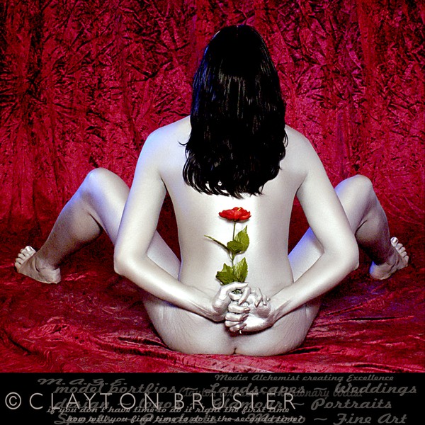 August 18 The Rose