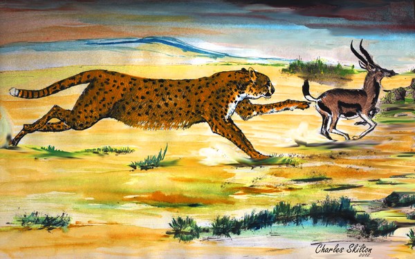 Cheetah Chase
