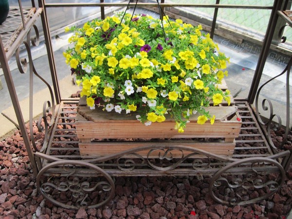 Pretty display
