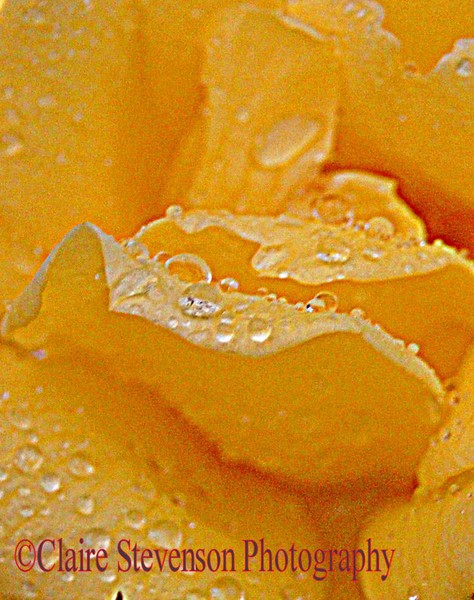 20110910 85