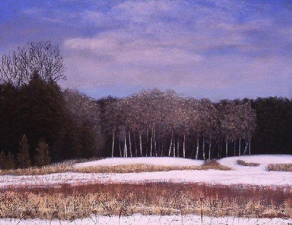Brisk Winters Morning
