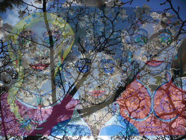 Art meets Nature 24