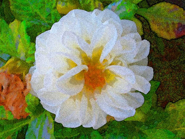 The white flower