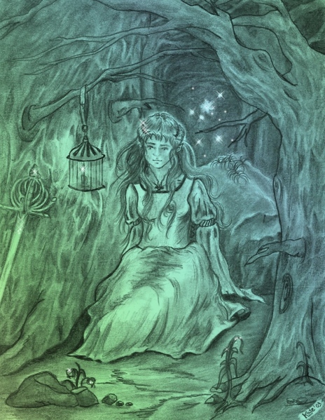 Nuit en Forêt