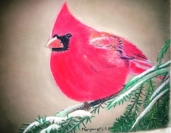 Cardinal