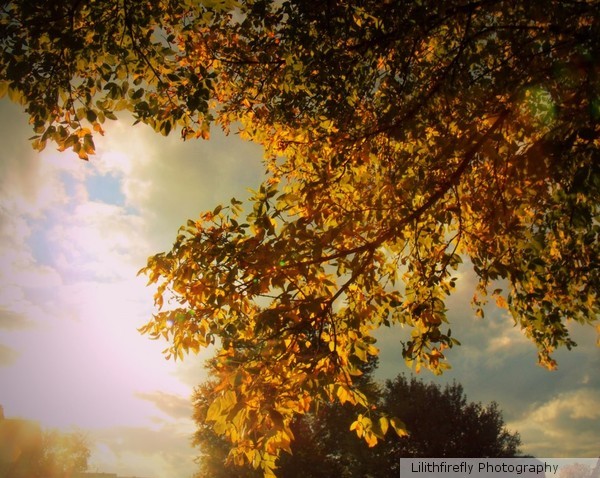 Autumns Equinox