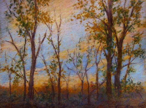 Sunset trees