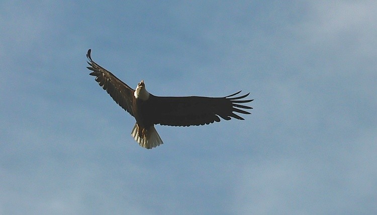 9G0A0806