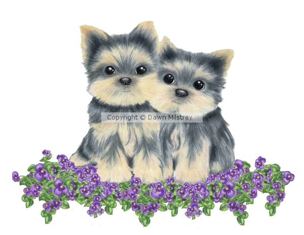 Yorkies on Flowers