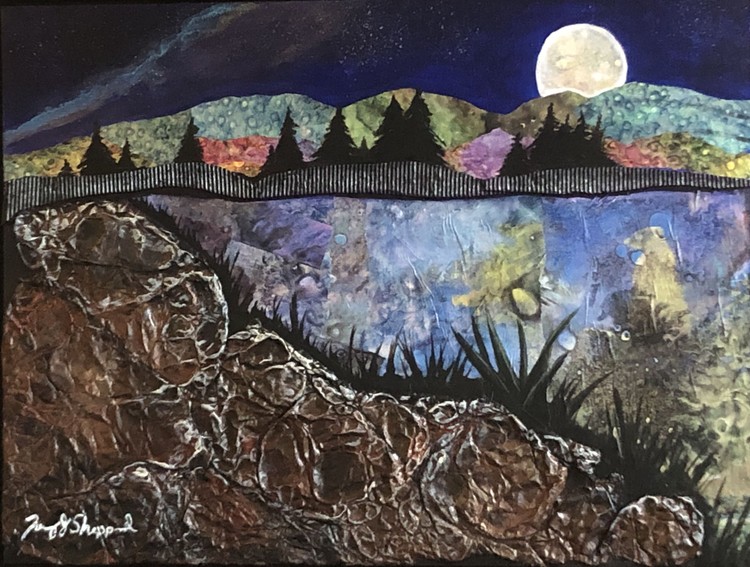 MoonShadows