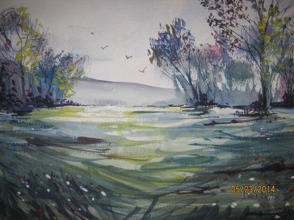 summer trees